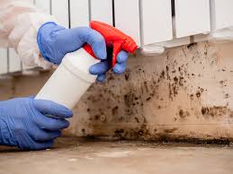 Trusted Shawneeland, VA Mold Prevention & Removal  Experts